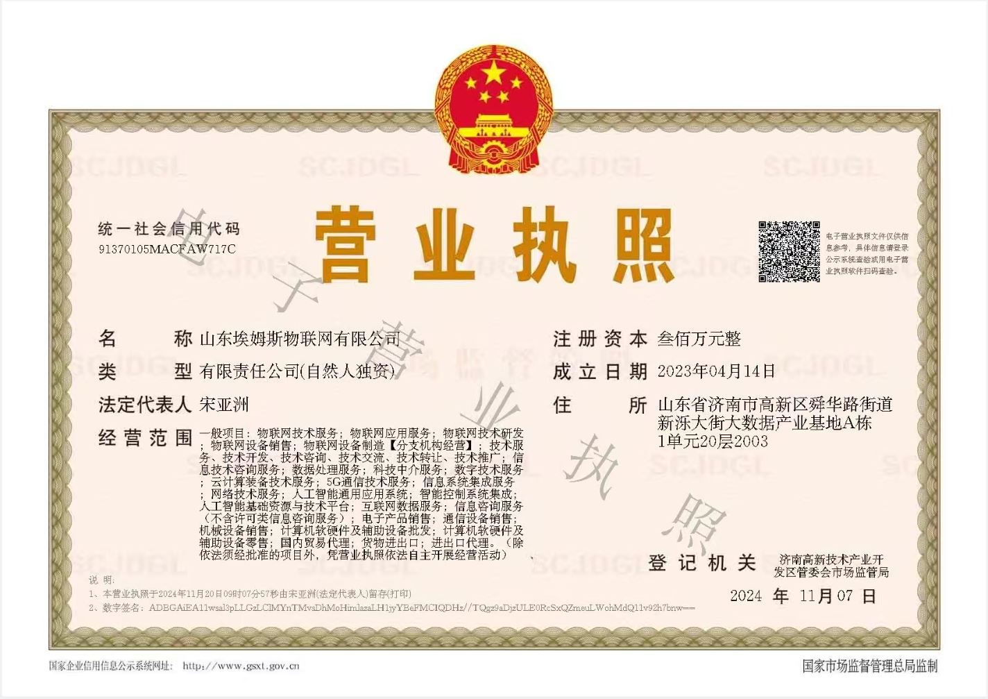 山東埃姆斯物聯(lián)網(wǎng)有限公司